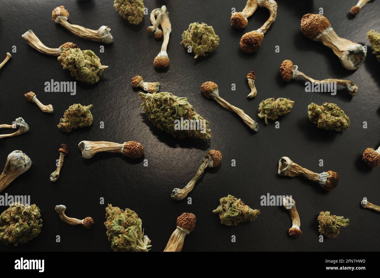 Concept de microdosage. Motif de champignons psilocybine et de bourgeons de marijuana sur fond noir. Voyage psychédélique, concept de validation. Banque D'Images