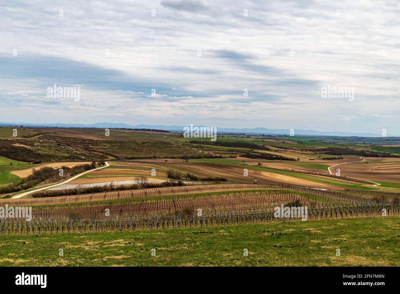 Paysage rural avec mélange de prairies, vignobles, champs, route de courbure et collines en arrière-plan - région de Weinwiertel près du village de Schrattenberge dans UN Banque D'Images