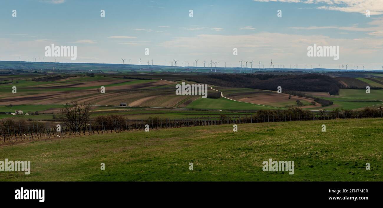 Paysage rural avec prairies, champs, vignobles, chemin de courbure et parc d'éoliennes près du village de Schraattenberg dans la région de Weinviertel en Autriche Banque D'Images