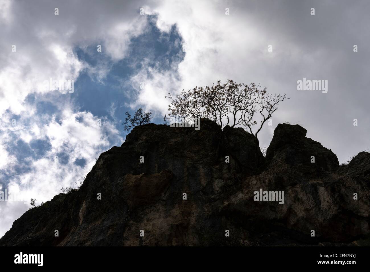 Parois rocheuses abruptes avec arbres rétroéclairés contre un ciel nuageux. Cloudscape. Abruzzes, Italie, Europe Banque D'Images