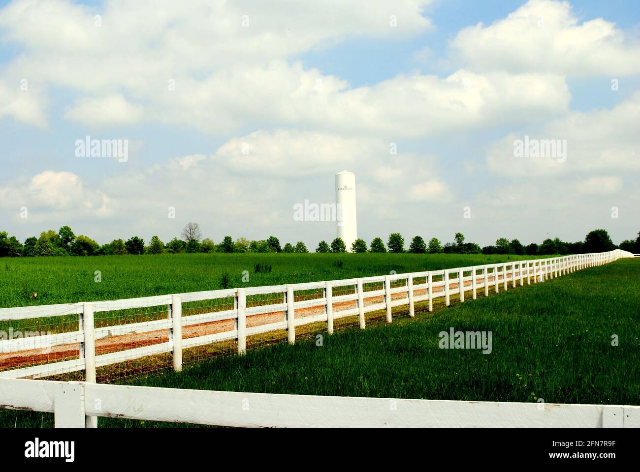 Clôture en bois du champ vert Banque D'Images
