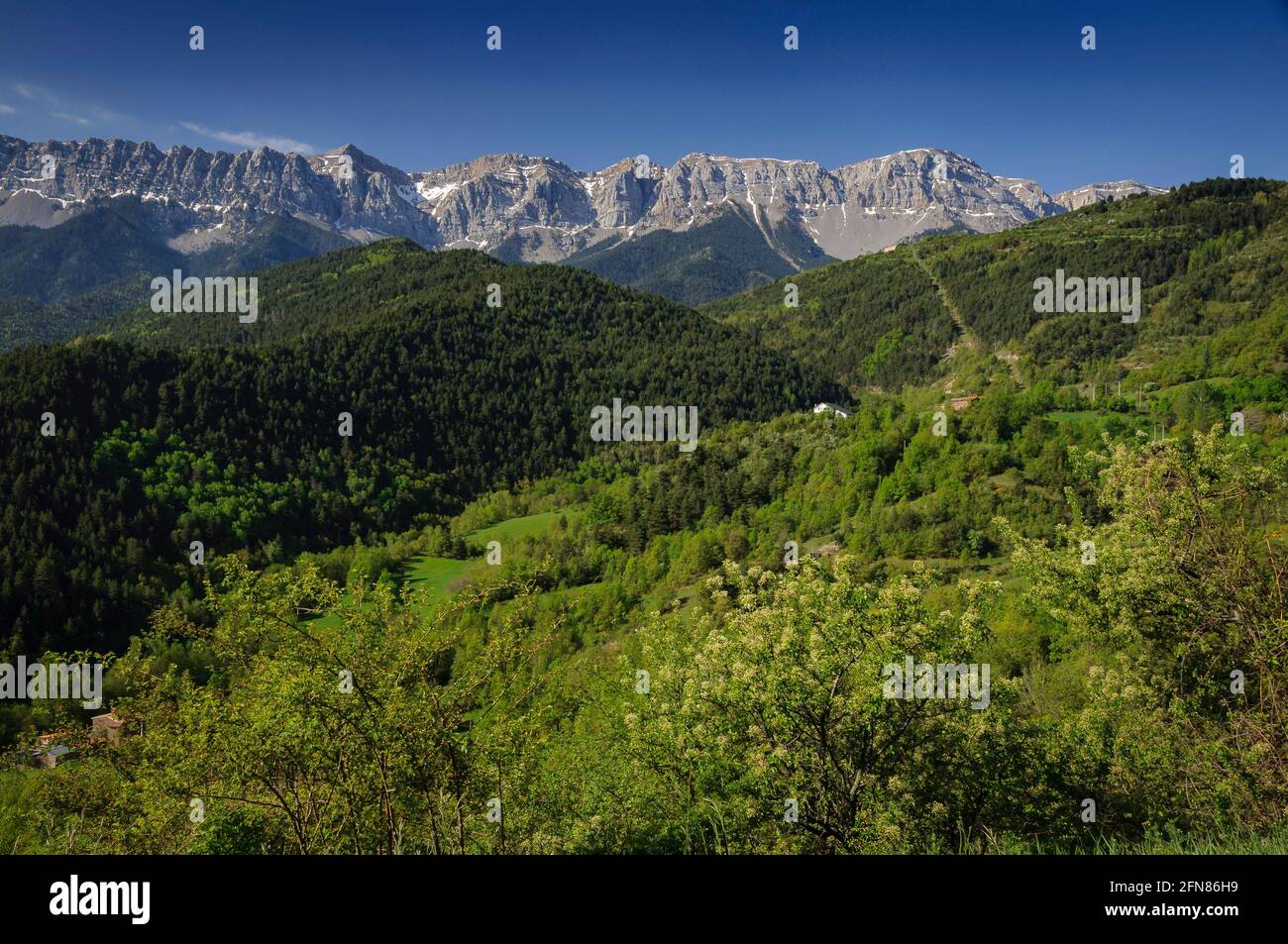 Serra de Cadí vu du chemin du village d'Estana à Prat de Cadí pré (Cerdanya, Catalogne, Espagne, Pyrénées) Banque D'Images