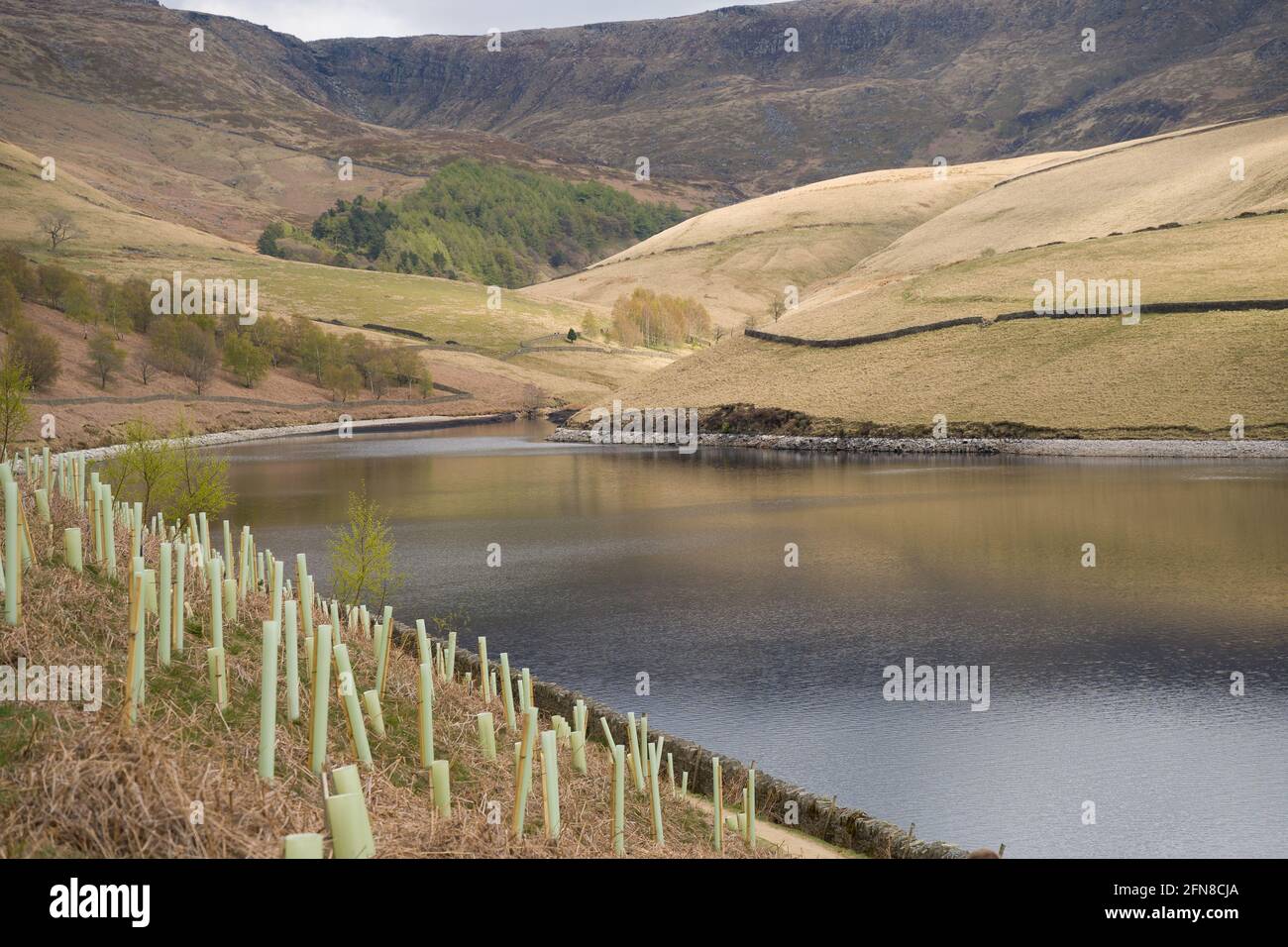 Visite de Kinder Scout dans le parc national de Peak District au Royaume-Uni Banque D'Images