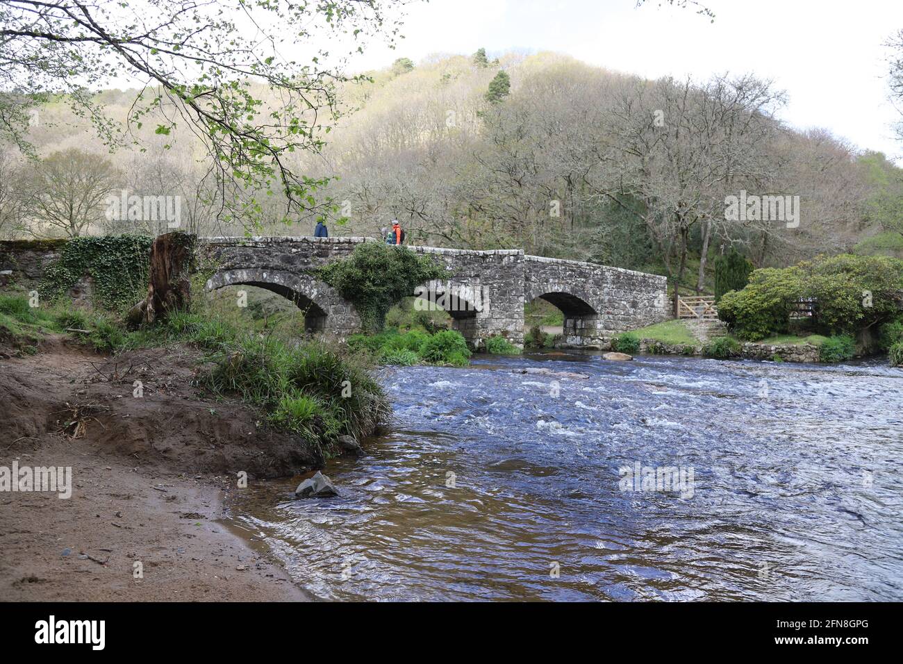 Pont en pierre au-dessus de la rivière Teign dans le sud du Devon Banque D'Images