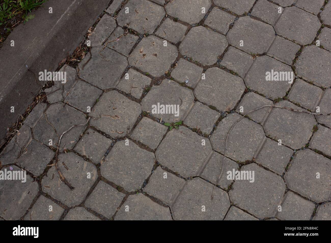 Une rue pavée, les pavés sont gris et la mousse grandit entre eux. Banque D'Images