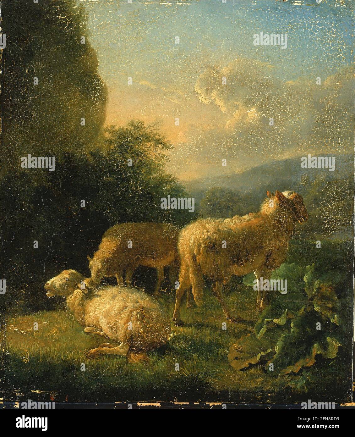 Moutons, fin du XVIIIe-début du XIXe siècle. Banque D'Images