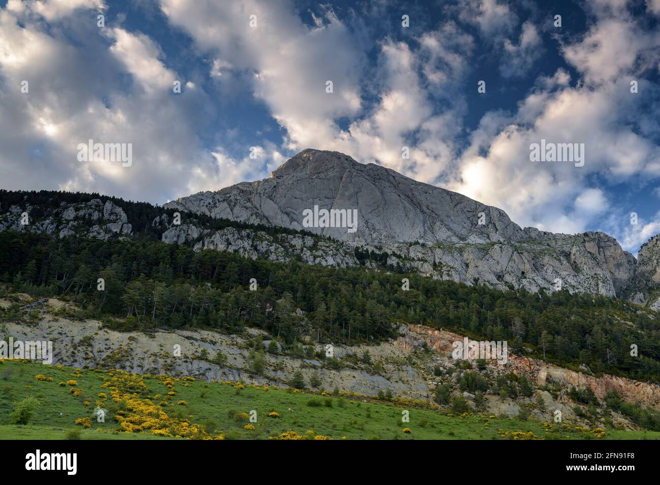 Pedraforca face sud vue de Coll de Jou et des prés dans les anciennes mines de Saldes (Berguedà, Catalogne, Espagne, Pyrénées) ESP: Cara sur del Pedraforca Banque D'Images
