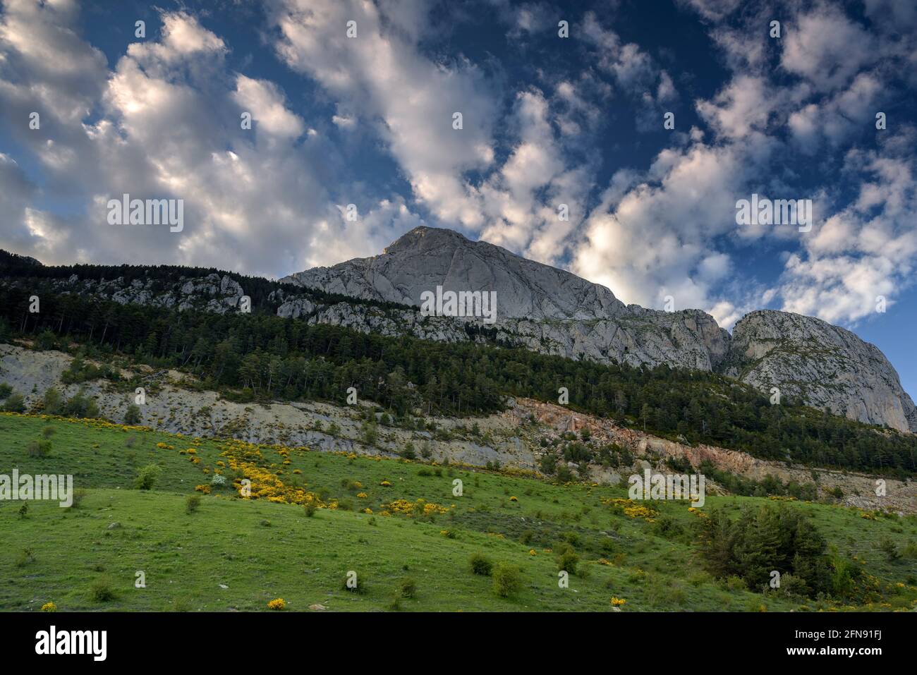 Pedraforca face sud vue de Coll de Jou et des prés dans les anciennes mines de Saldes (Berguedà, Catalogne, Espagne, Pyrénées) ESP: Cara sur del Pedraforca Banque D'Images