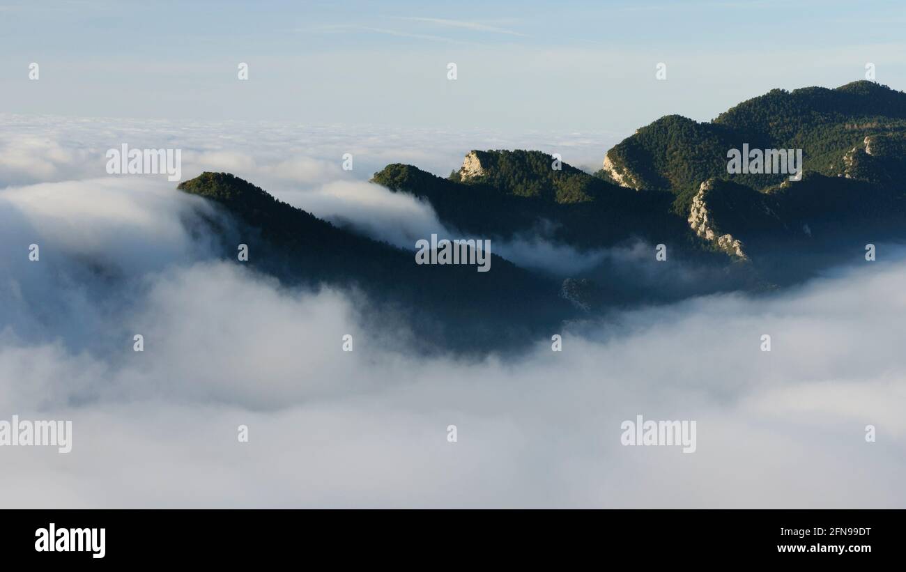 Serra de Queralt, entre brouillard le matin (Berguedà, Catalogne, Espagne, Pyrénées) ESP: Serra de Queralt, entre nieblas por la mañana (Berguedà) Banque D'Images