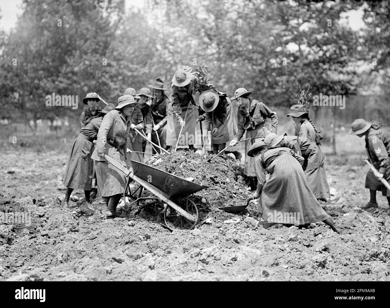 Jardinage de scouts de filles. Photo de Harris et Ewing, 1917 Banque D'Images