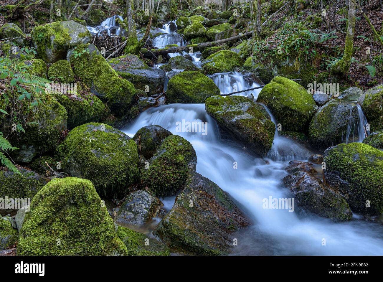 Cascade dans la rivière Toran, dans la vallée de Torán (Vallée d'Aran, Catalogne, Espagne, Pyrénées) ESP: Salto de agua en el río Toran, en el Valle de Torán Banque D'Images