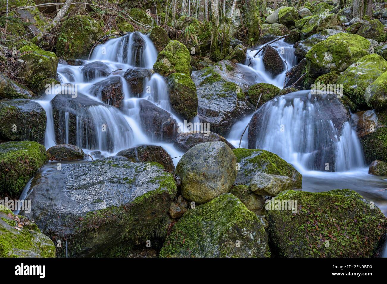 Cascade dans la rivière Toran, dans la vallée de Torán (Vallée d'Aran, Catalogne, Espagne, Pyrénées) ESP: Salto de agua en el río Toran, en el Valle de Torán Banque D'Images