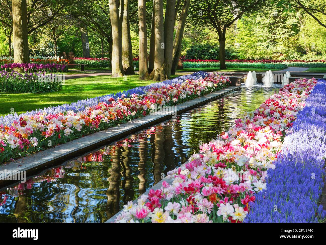 Plus grand jardin de fleurs d'Europe. Keukenhof. Pays-Bas Photo Stock -  Alamy