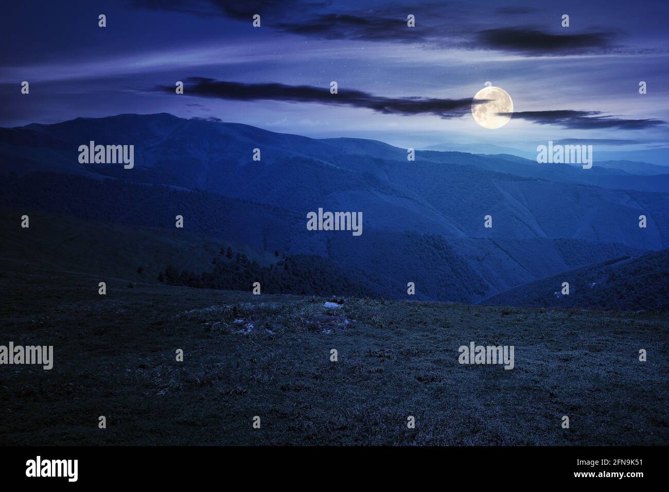 prairie montagneuse alpine en été la nuit. beau paysage des carpates en pleine lune Banque D'Images