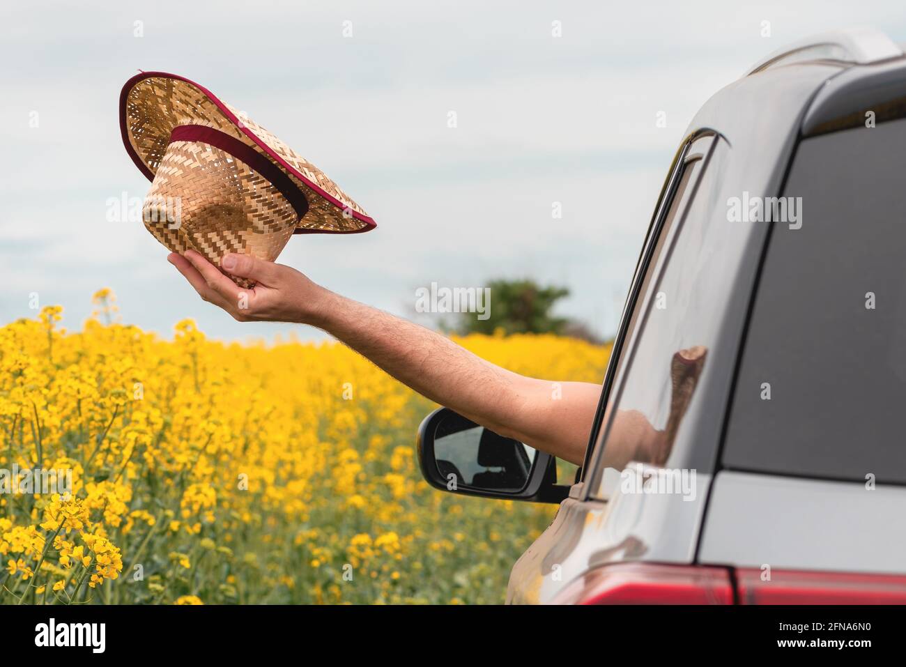 Homme appréciant une promenade en voiture dans le paysage de campagne d'été en pleine floraison, main avec chapeau de paille atteignant par la fenêtre, foyer sélectif Banque D'Images