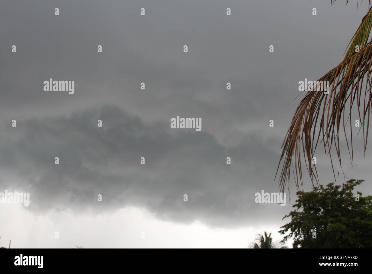 Climat tropical sombre en Floride Banque D'Images