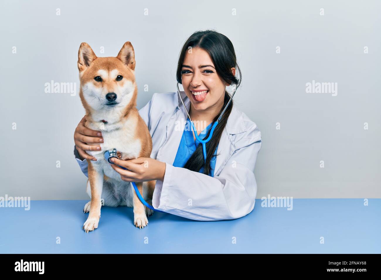 Belle femme hispanique vétérinaire vérifier la santé de chien collant la langue dehors heureux avec l'expression drôle. Banque D'Images
