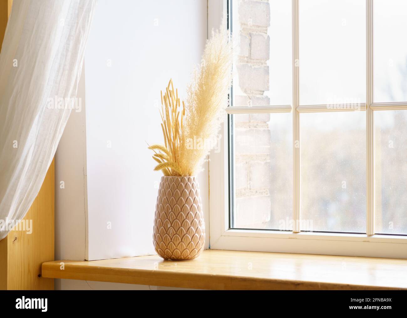 Tige de panache à roseau, vase avec fleur sèche sur fenêtre, pampas sec.  Décoration fleurie décorative dans l'intérieur de la maison, décoration  tendance dans la lumière d'été Photo Stock - Alamy