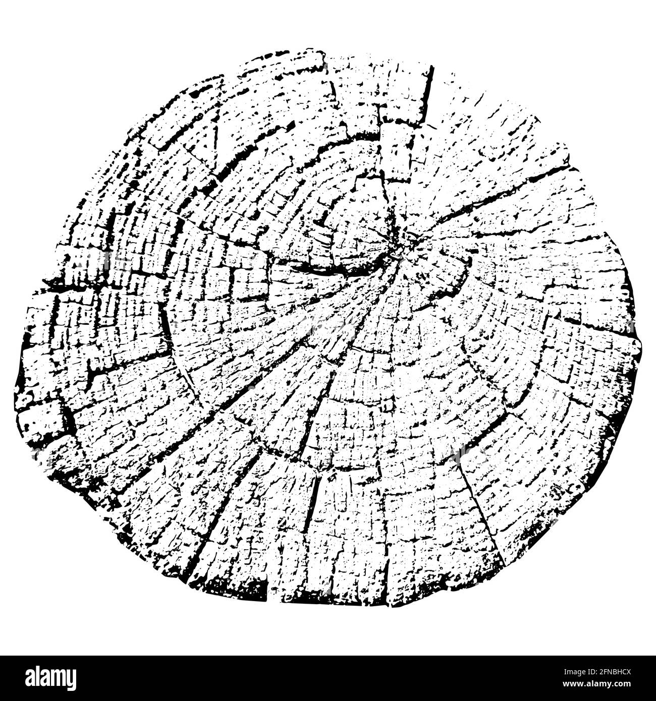 Anneaux de croissance des arbres. Bois de coupe naturel. Illustration vectorielle. Illustration de Vecteur