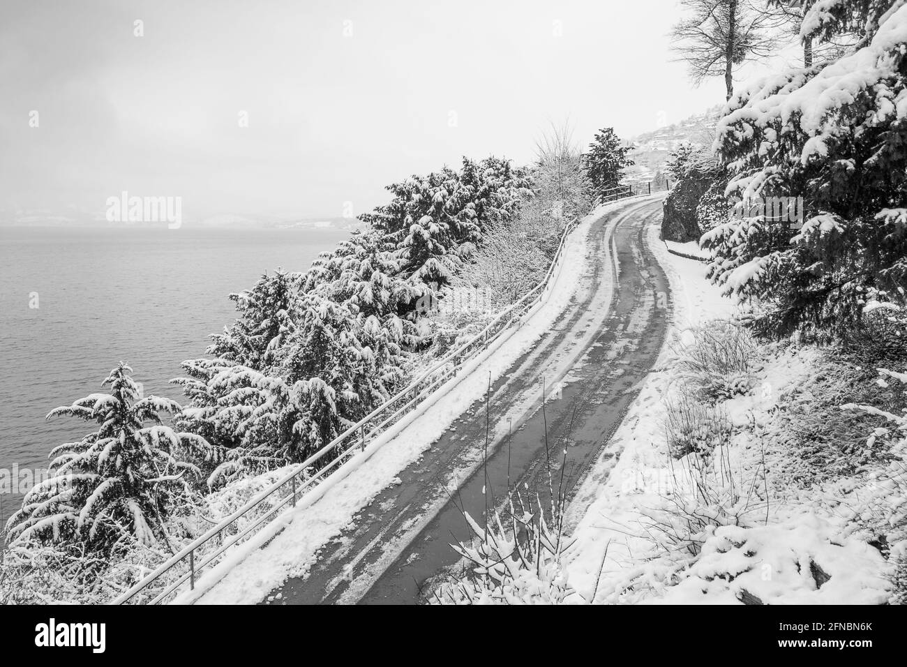 Hiver en noir et blanc. La route de la montagne, les arbres dans la neige dévie. Suisse. Canton de Lucerne. Banque D'Images