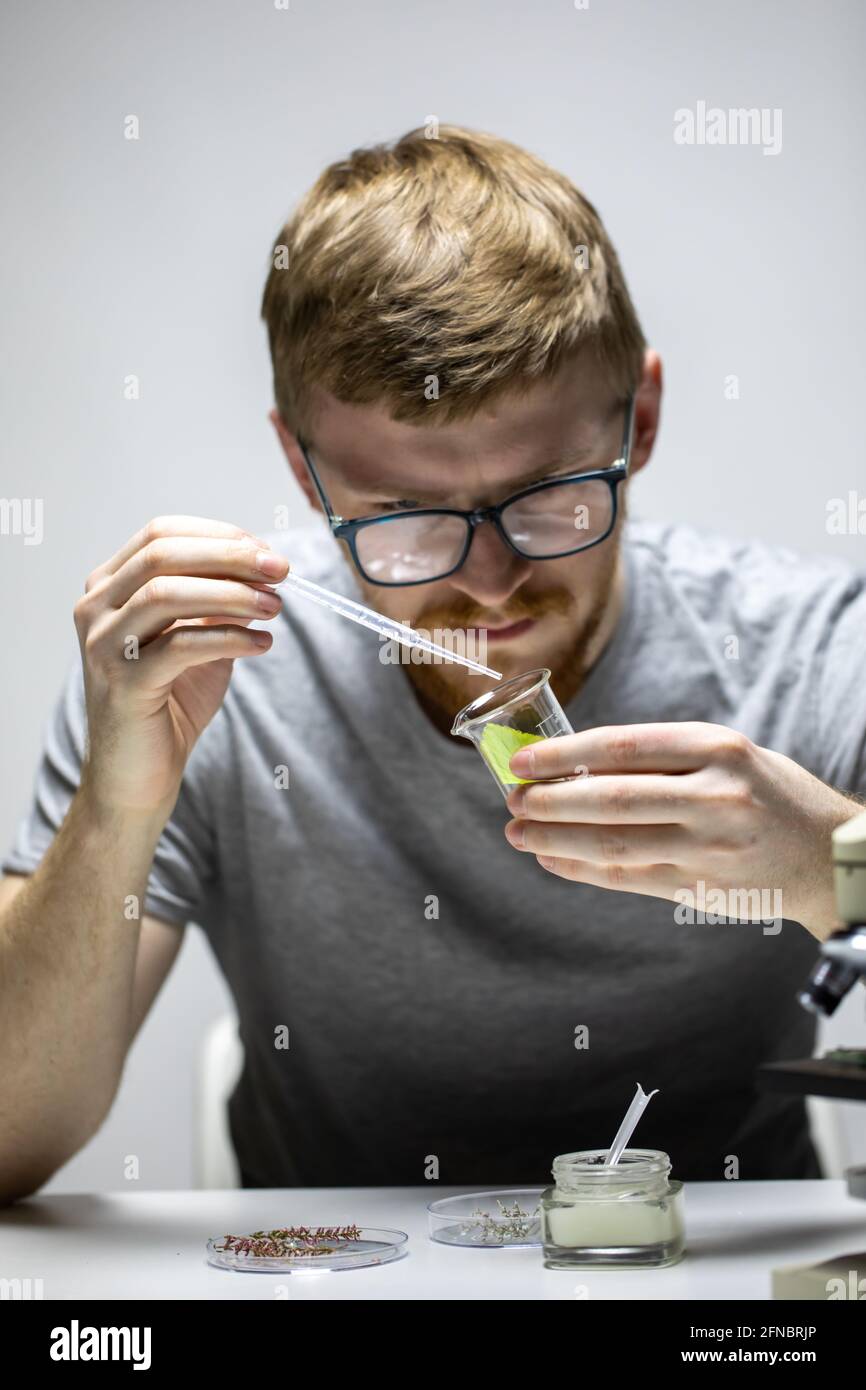 Le jeune biologiste en verre laisse tomber le réactif vert feuille de plante Banque D'Images