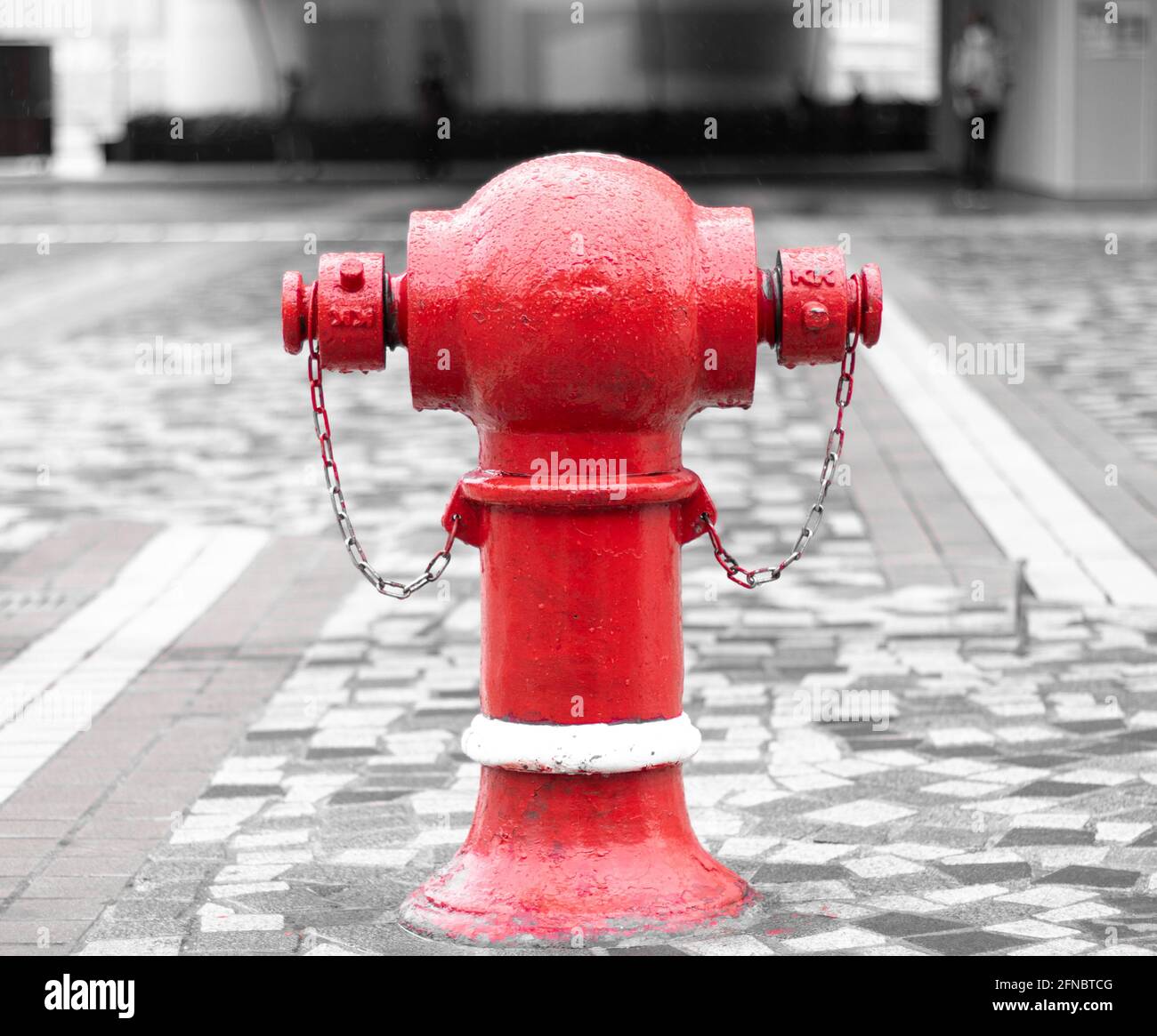 Borne d'incendie rouge sur fond de bokeh gris dans un espace ouvert. Les gouttes de pluie récentes sont visibles à la surface. Banque D'Images