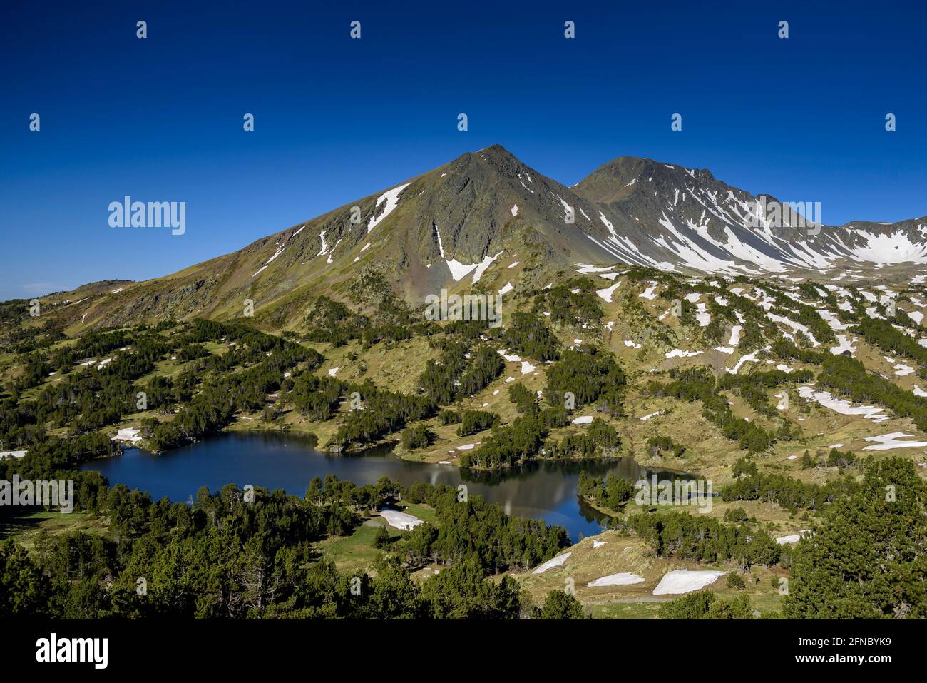 Matin d'été dans les lacs de Camporells, sous les montagnes pic Peric et petit Peric (Pyrénées Orientales, Occitanie, France) Banque D'Images