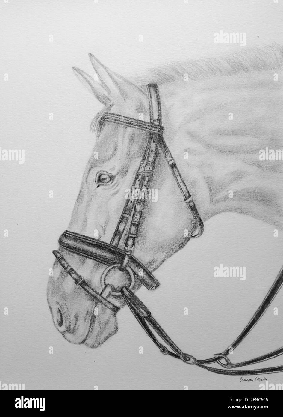 Peinture de cheval Banque D'Images