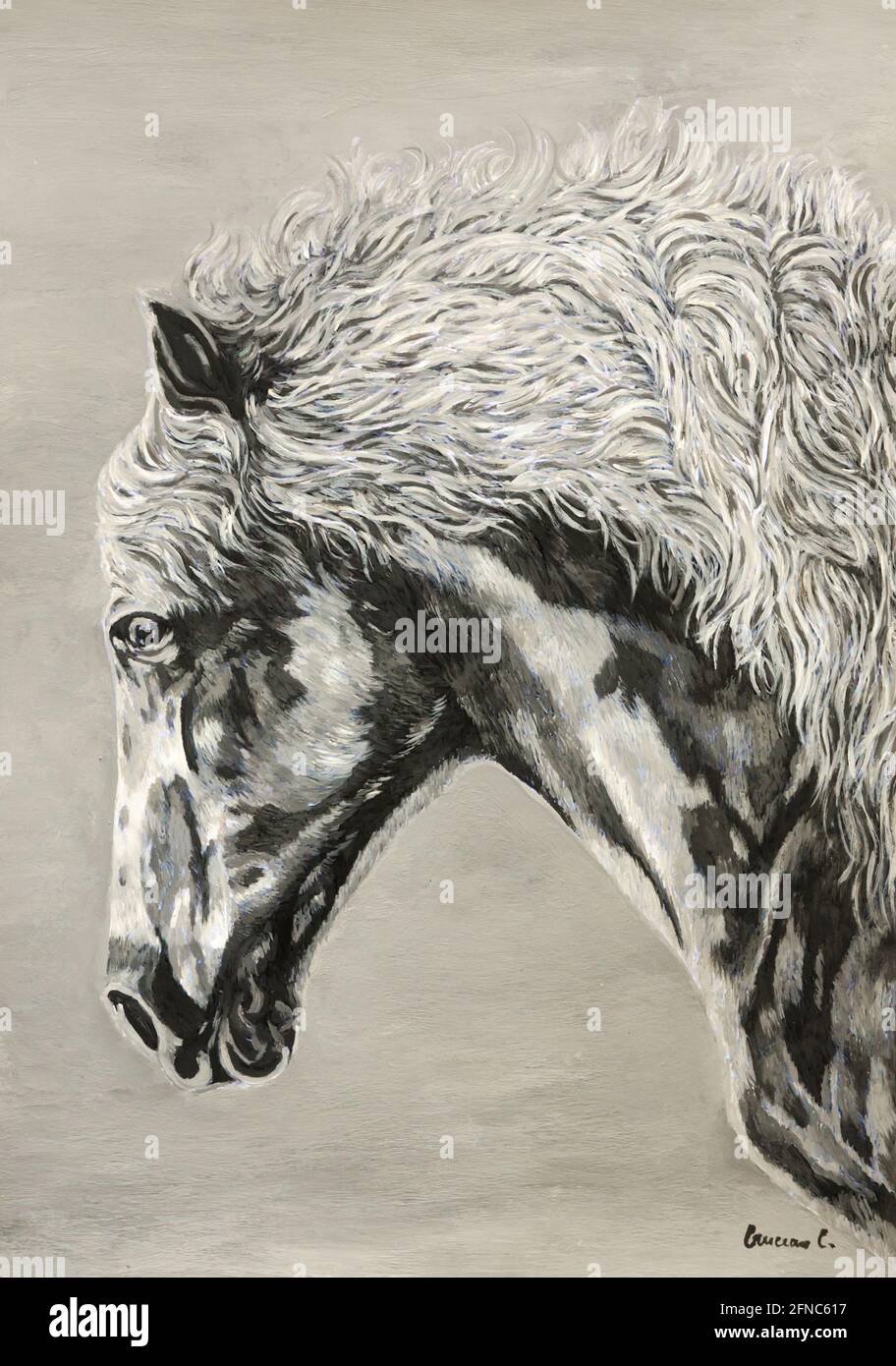 Peinture de cheval Banque D'Images