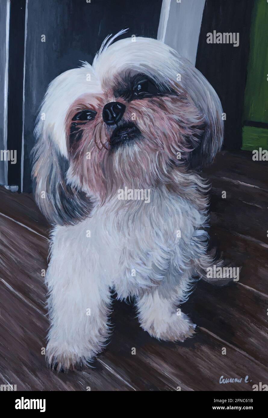 Animaux peints Banque D'Images