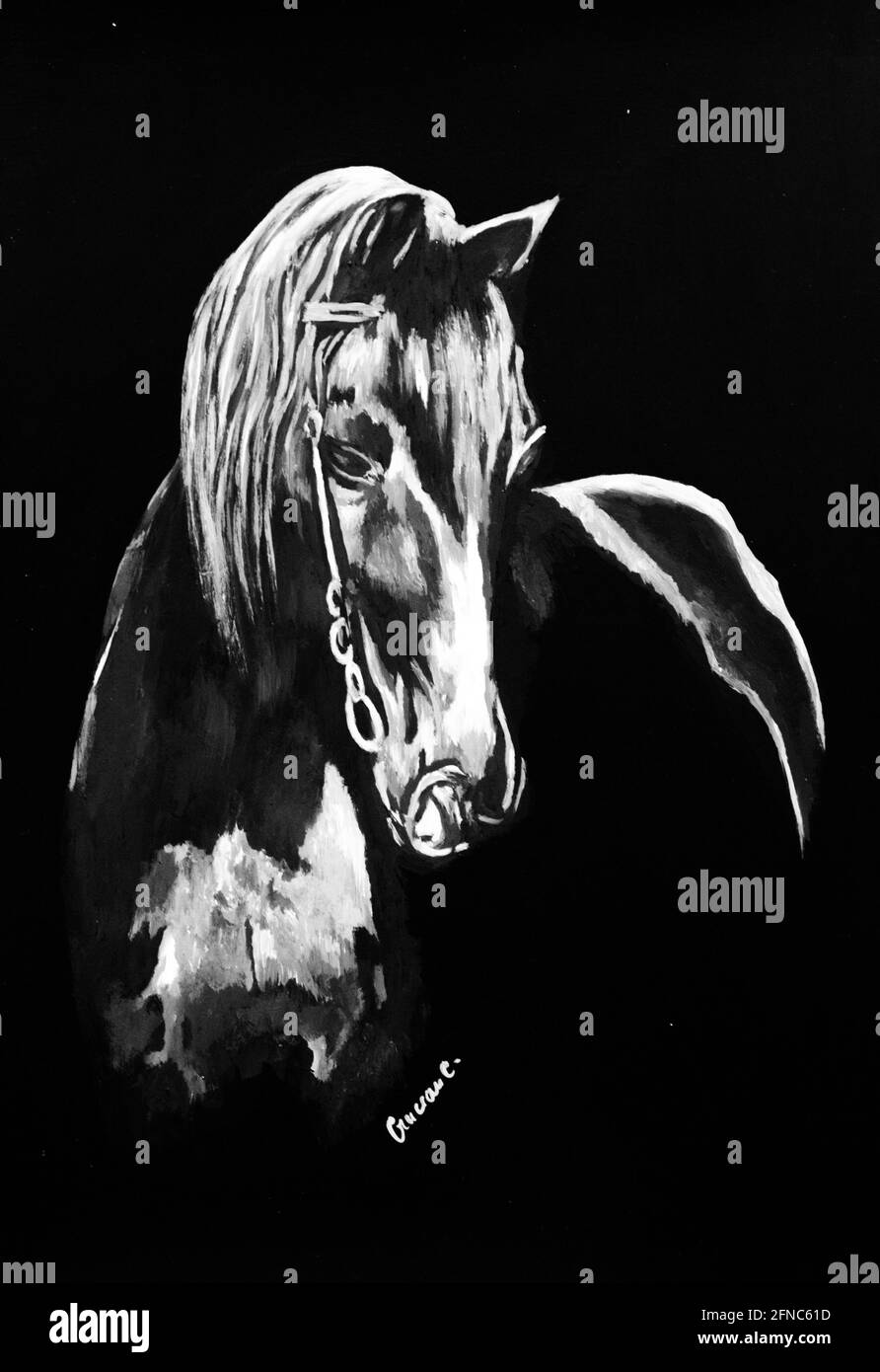 Peinture de cheval Banque D'Images