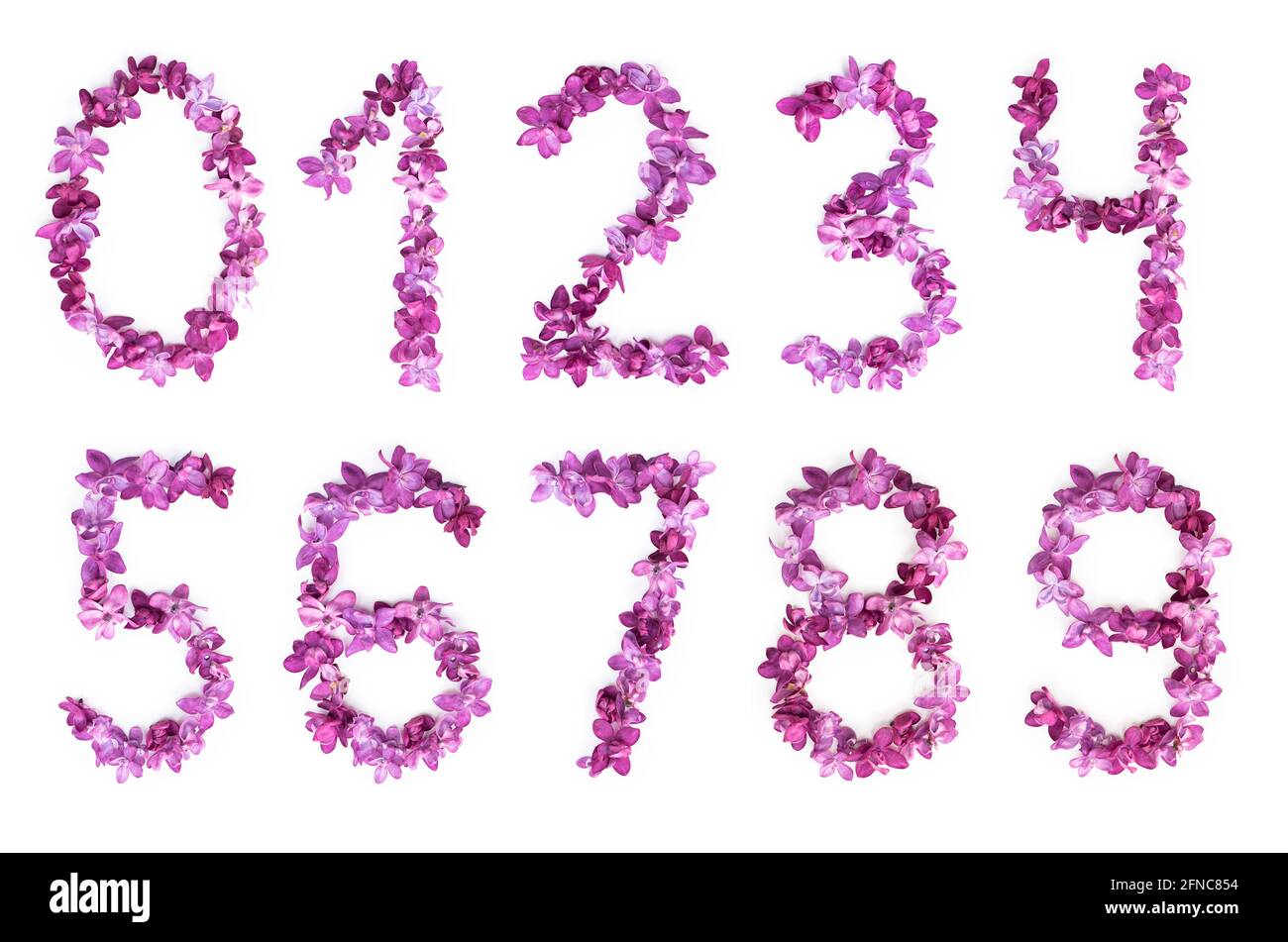 Nombres de zéro à neuf faits de fleurs lilas isolées sur fond blanc. Vue de dessus. 1,2,3,4,5,6,7,8,9,0 Banque D'Images