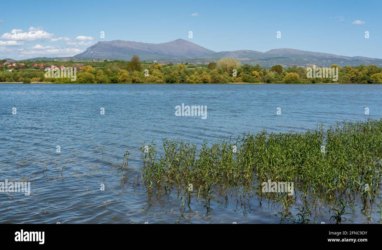 Lac Bovan et montagne Rtanj près de Sokobanja dans l'est de la Serbie Banque D'Images
