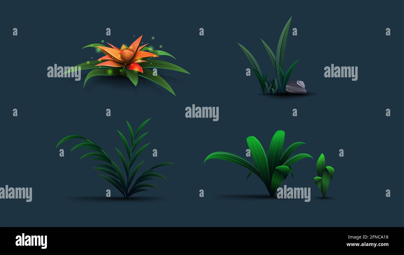 Une collection de fleurs et d'arbustes exotiques pour votre créativité. Plantes tropicales isolées dans le style de dessin animé. Icônes de plantes en trois dimensions Banque D'Images