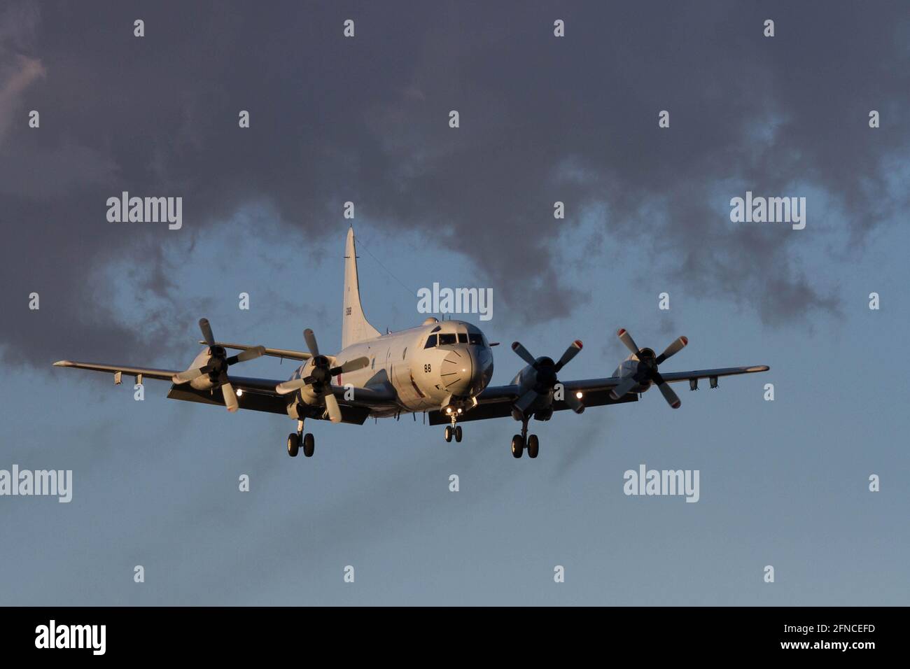 Un avion de reconnaissance maritime Lockheed P-3C Orion prépare des terres à l'installation navale de Kanagawa. (Photo de Damon Coulter / SOPA Images / Sipa USA) Banque D'Images