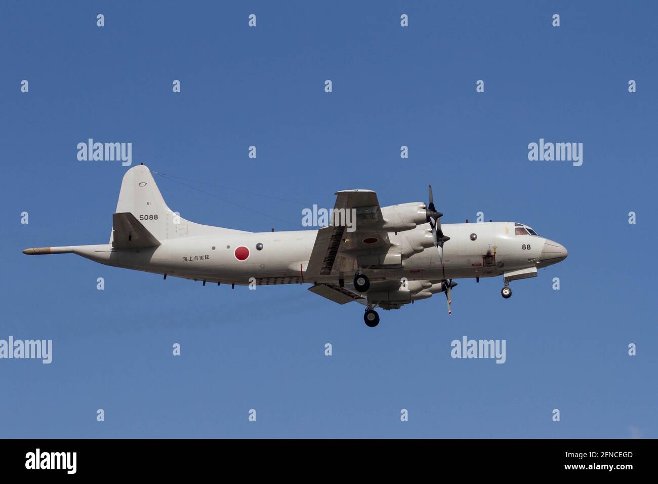 Un avion de reconnaissance maritime Lockheed P-3C Orion avec la Force d'autodéfense maritime japonaise (JMSDF) vole près de l'installation aérienne navale, base aérienne Atsugi à Kanagawa. (Photo de Damon Coulter / SOPA Images / Sipa USA) Banque D'Images