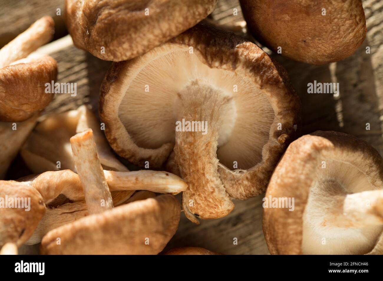 Champignons shiitake britanniques achetés dans un supermarché sur fond de bois. Angleterre GB Banque D'Images