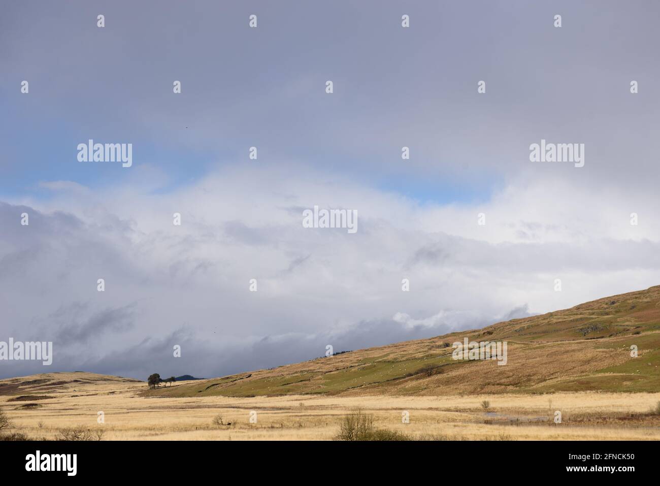 Vue sur la vallée de Grobdale à Galloway, en Écosse Banque D'Images