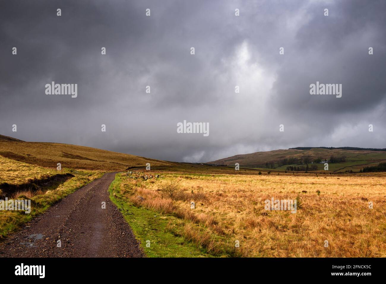 Piste de ferme à Grobdale près de laurieston dans Galloway Ecosse Banque D'Images