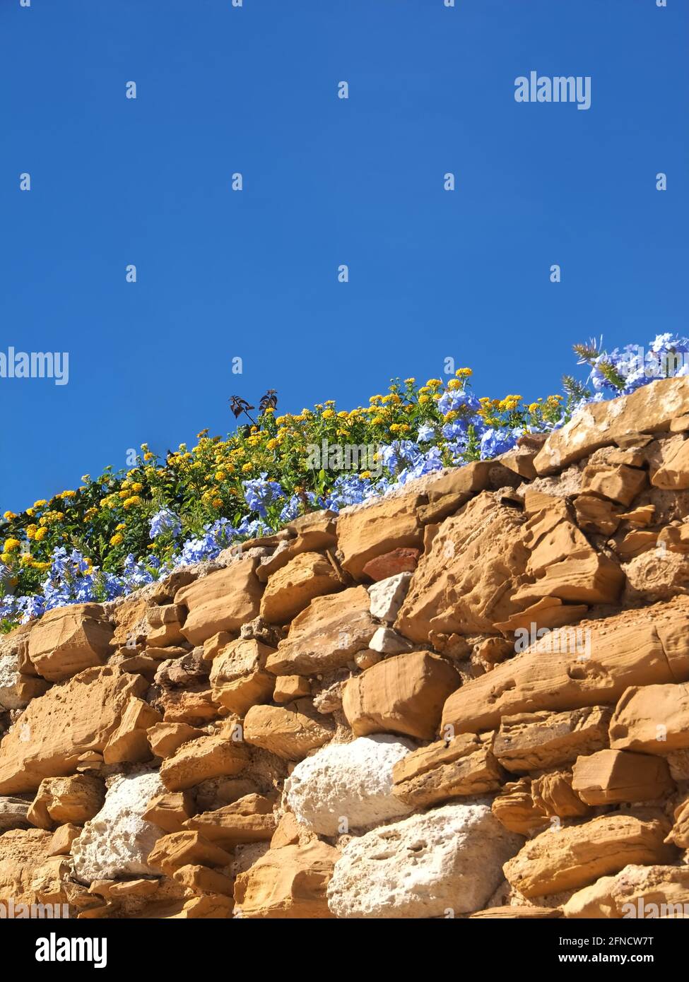 Mur en pierre avec fleurs devant le ciel bleu Banque D'Images