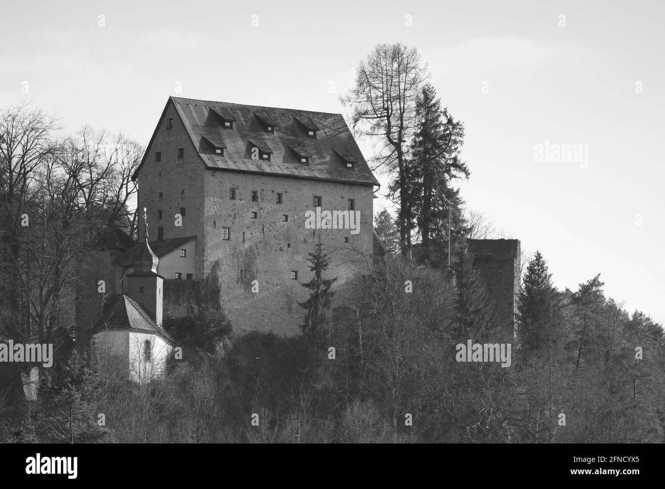 photographie monochrome pittoresque d'un château médiéval Banque D'Images