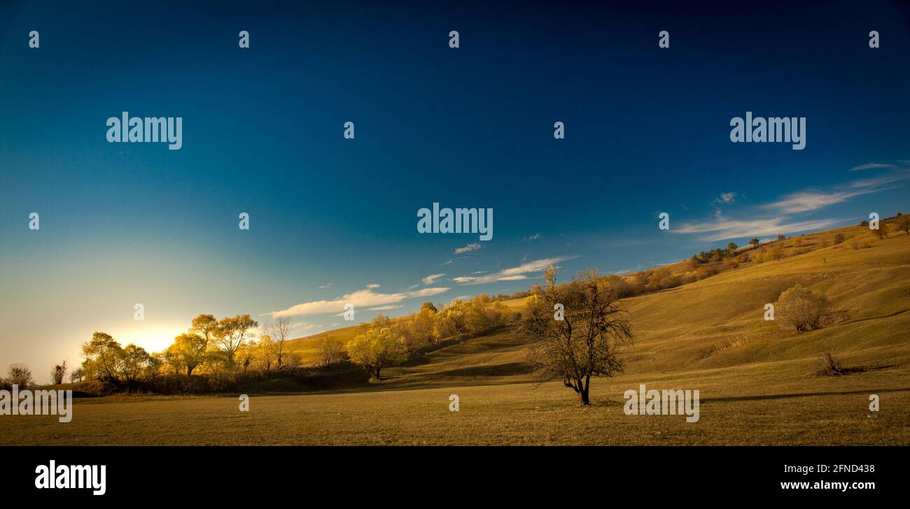 Collines vallonnées en début de matinée en automne en Transylvanie. Banque D'Images