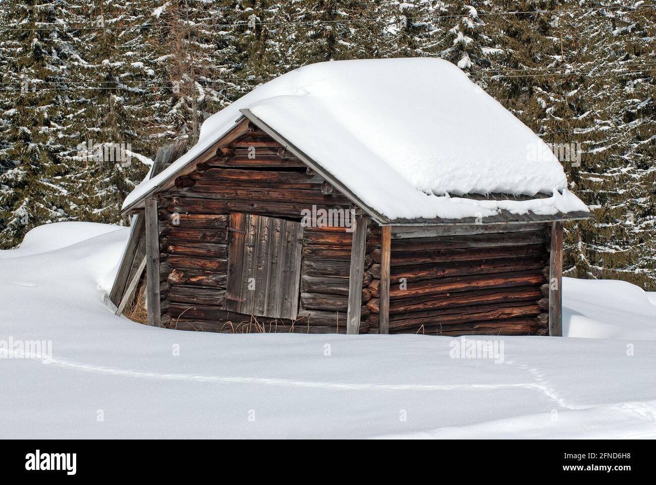 Cabane alpine recouverte de neige, vallée de la Pusteria, Trentin-Haut-Adige, Italie Banque D'Images