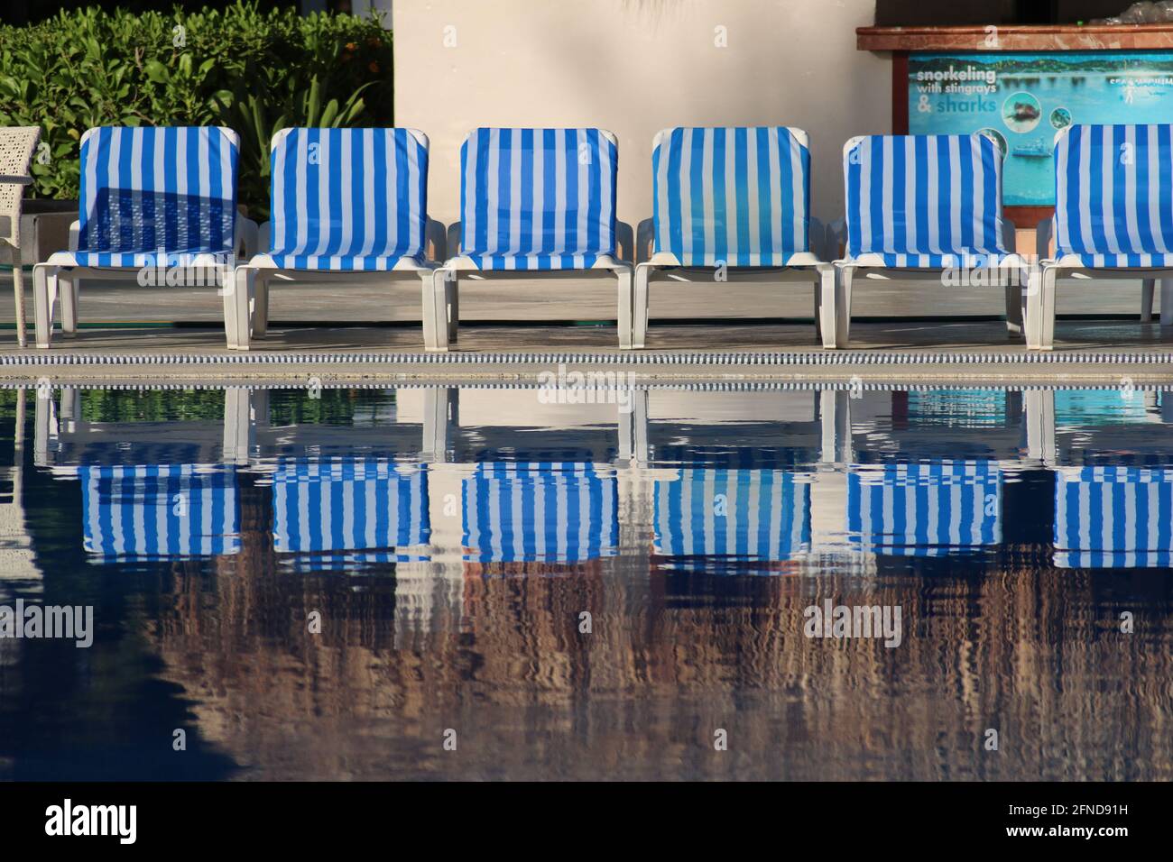 Chaises longues au bord de la piscine / Liegen am Pool Banque D'Images