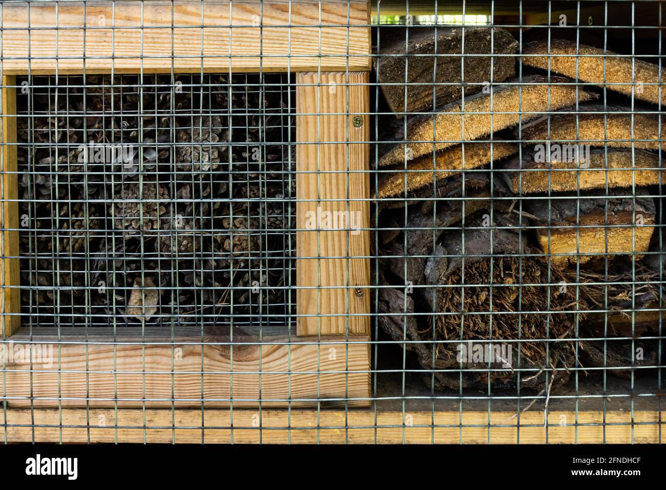 Insecte maison dans le parc de la ville. Composition de bâtons, céramique placée sur des étagères en bois. La photo a été prise en plein jour. Banque D'Images