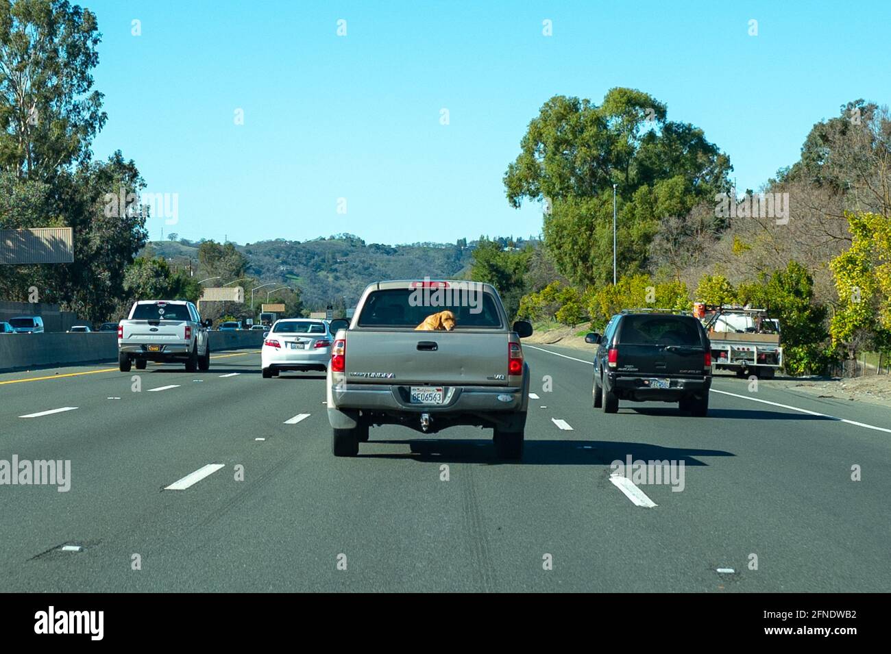 Photographie prise de l'intérieur d'une voiture avec des véhicules roulant sur une autoroute et un blond d'or à l'arrière d'un pick-up, 5 février 2021. () Banque D'Images