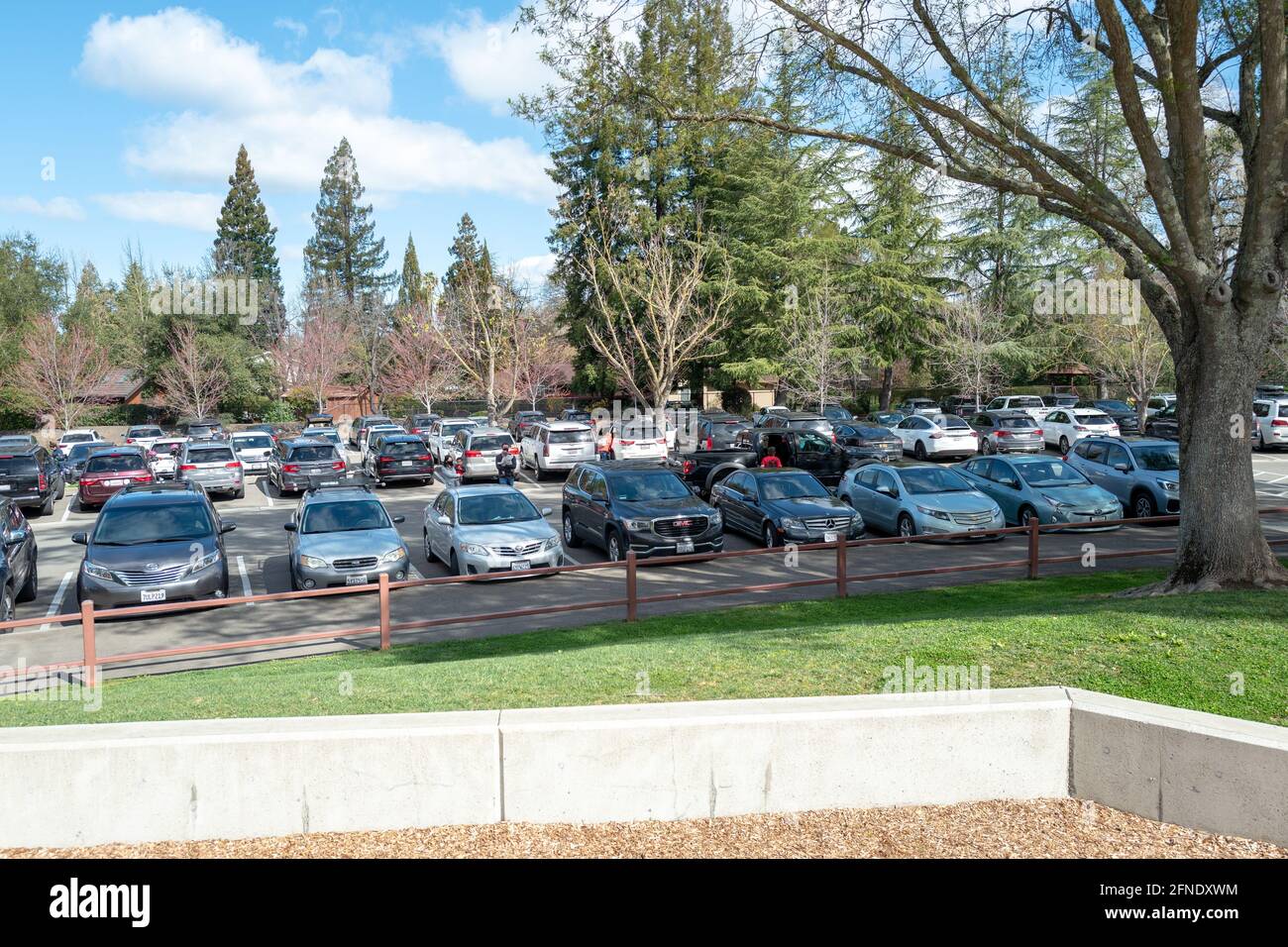 Le premier jour du printemps dans la région de la baie de San Francisco, à Danville, en Californie, le parc de stationnement était complet à Osage Station Park, car beaucoup de personnes se sont rassemblées à l'extérieur, le 20 mars 2021. () Banque D'Images