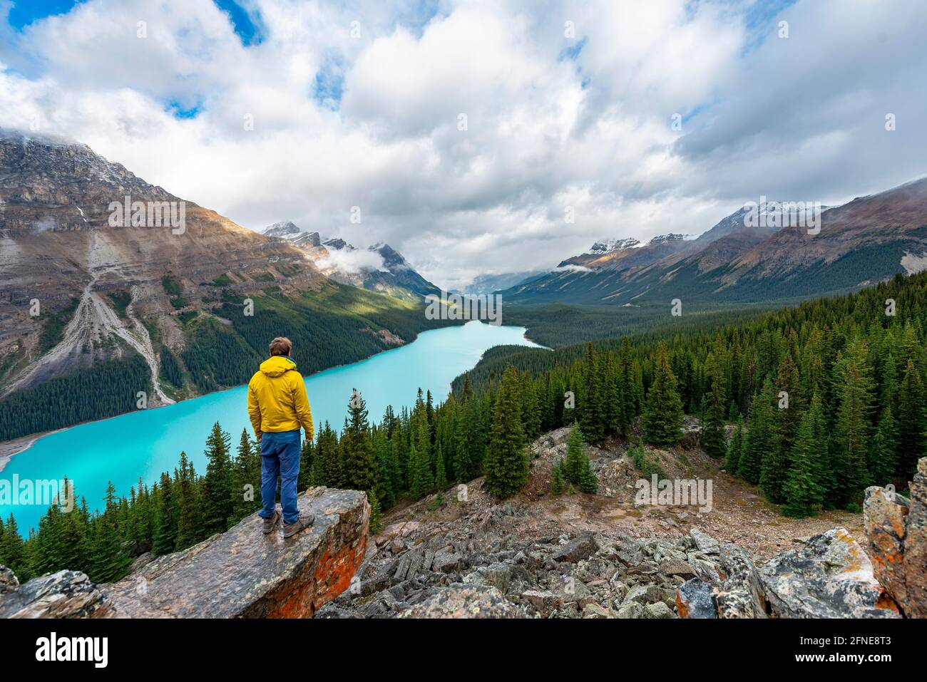 Randonneur regardant au loin, vue sur le lac glaciaire turquoise entouré de forêt, lac Peyto, montagnes Rocheuses, parc national Banff, Alberta Banque D'Images