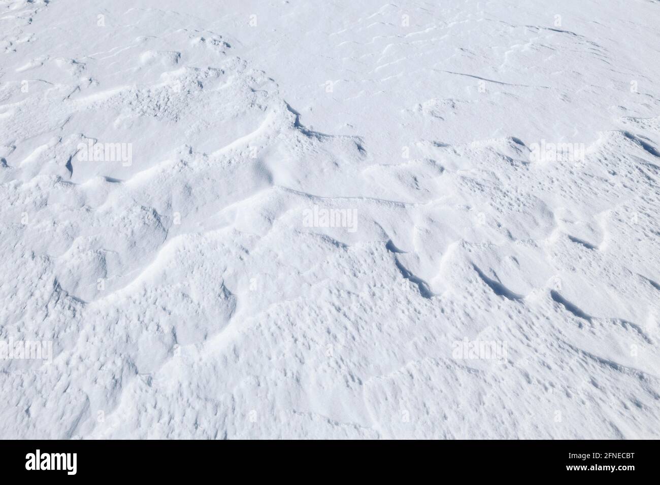 Snowdrift, province de Québec, Canada Banque D'Images