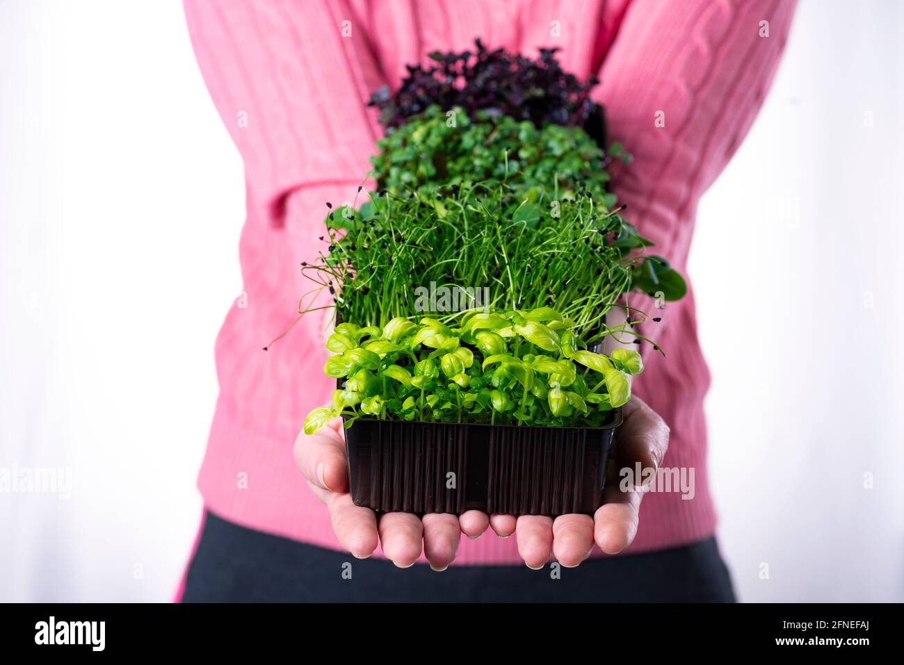Femme en t-shirt rose tenant beaucoup de micro-verts dans les plateaux bruns dans ses mains, livraison de micro-verts, saine alimentation écologique. Banque D'Images